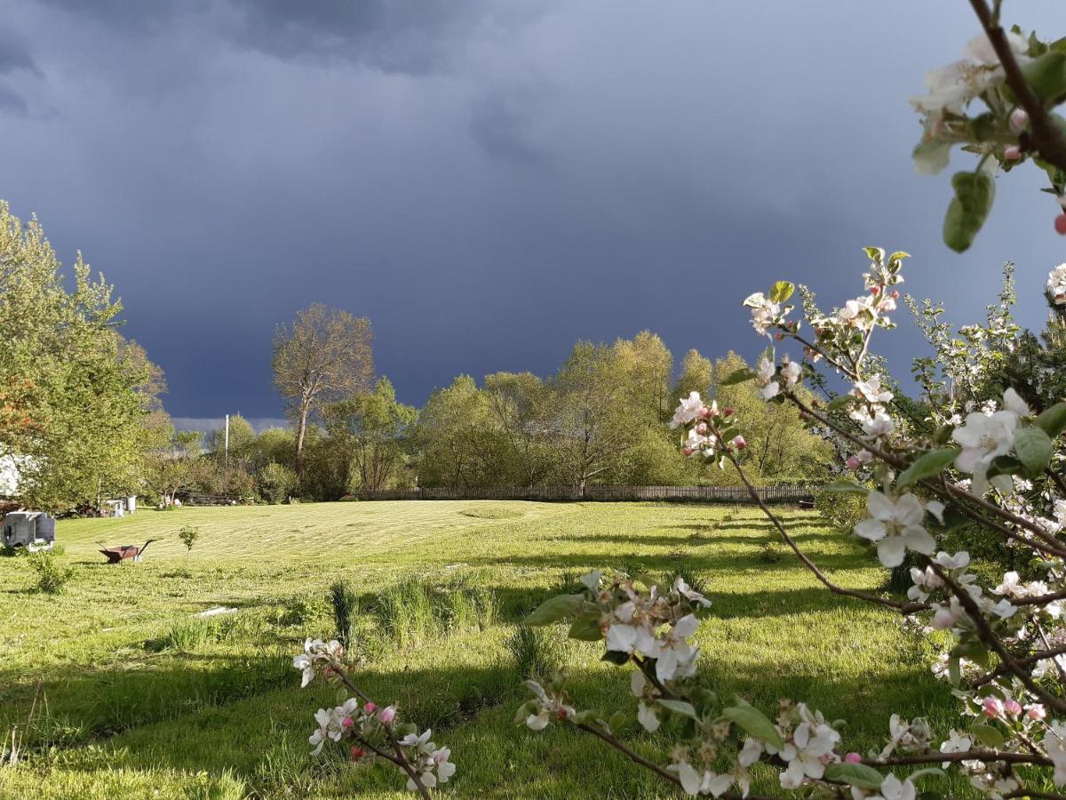 Agroturystyka Tam Gdzie Sosny Scinawka Dolna Exterior photo
