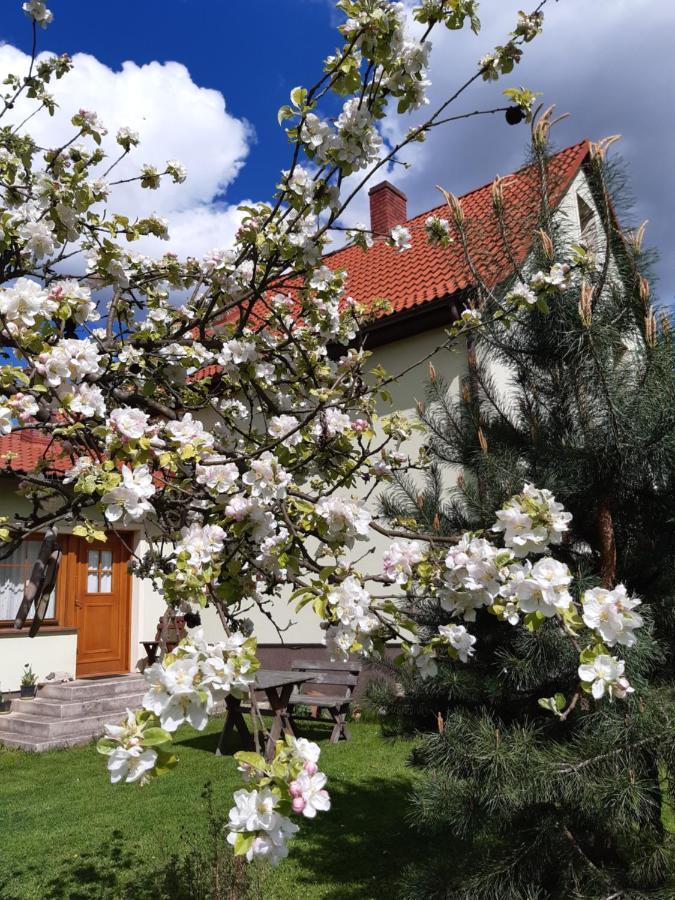 Agroturystyka Tam Gdzie Sosny Scinawka Dolna Exterior photo
